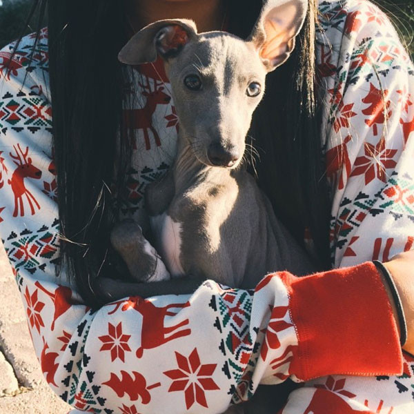 Kylie Jenner Gets Her Dream Dog An Italian Greyhound Puppy Named